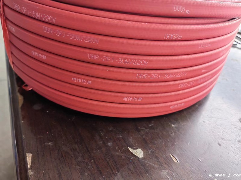 DBR一ZPJ一30W/220V----阻燃防爆加强型电伴热带.jpg