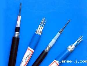 本质放心电路计算机屏蔽电缆(包括本安用DCS电缆)