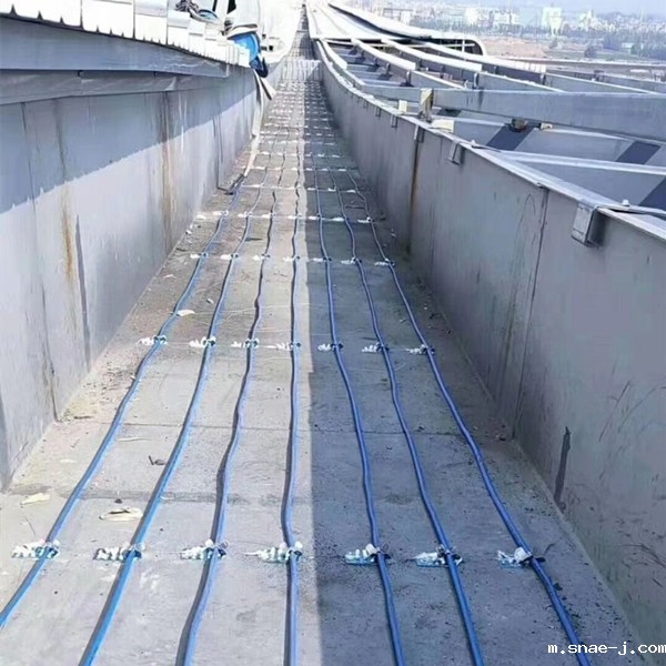 17324937464149.jpg
