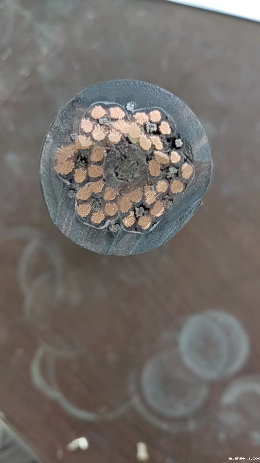 17616149755168.jpg